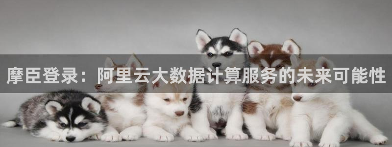 下载南宫NGapp：摩臣登录：阿里云大数据计算服务的未来可能性