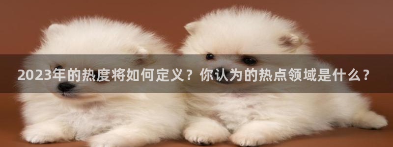 南宫NG分红代理计划：2023年的热度将如何定义？你认为的热点领域是什么？