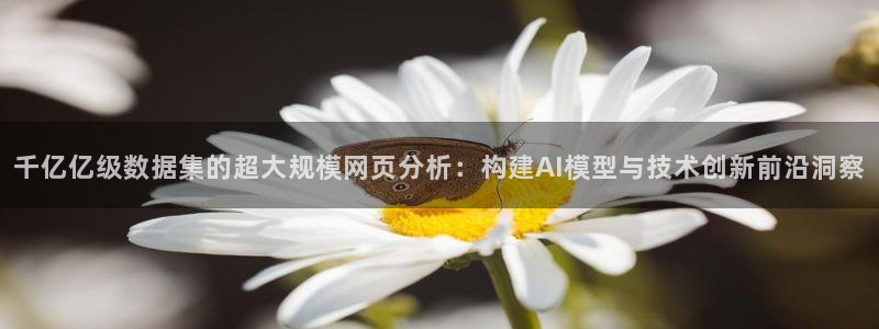 南宫NG注册链接：千亿亿级数据集的超大规模网页分析：构建AI模型与技术创新前沿洞察