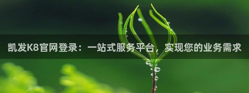 南宫NGapp：凯发K8官网登录：一站式服务平台，实现您的业务需求