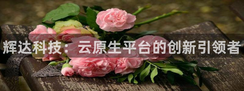 壹号平台下载安装：辉达科技：云原生平台的创新引领者
