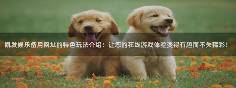 南宫NG电子娱乐官网下载：凯发娱乐备用网址的特色玩法介绍：让您的在线游戏体验变得有趣而不失精彩！