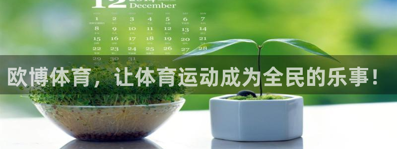 南宫NG网站登录流程