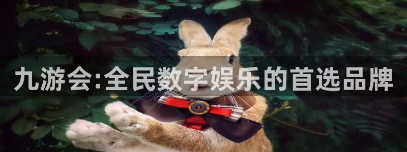南宫NG能退款吗