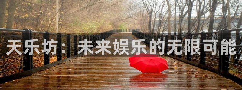 南宫NGapp注册地址：天乐坊：未来娱乐的无限可能