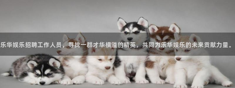 壹号平台娱乐