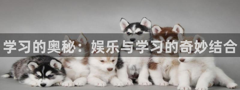 壹号电子娱乐app下载最新版本：学习的奥秘：娱乐与学习的奇妙结合