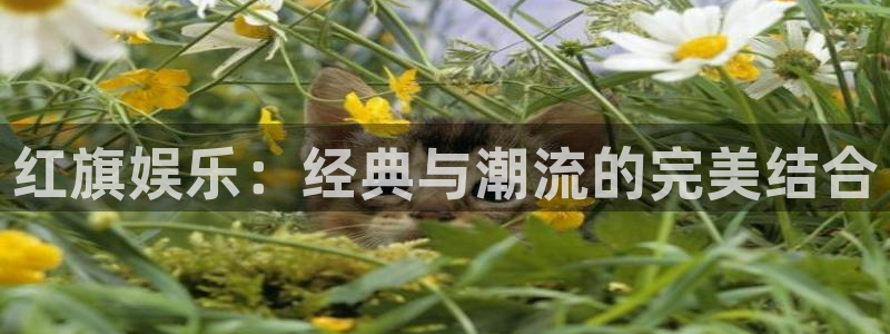 南宫NG下载入口：红旗娱乐：经典与潮流的完美结合