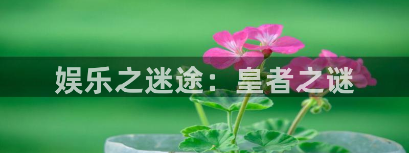 壹号大舞台：娱乐之迷途：皇者之谜
