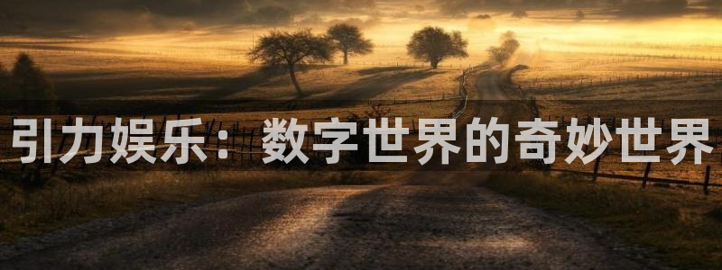 南宫NG官方网站：引力娱乐：数字世界的奇妙世界