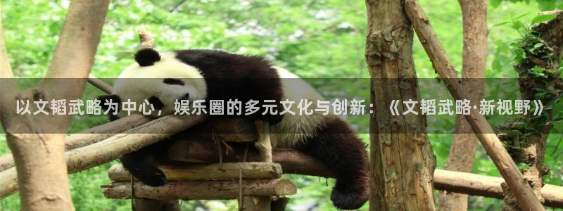 南宫NGapp下载：以文韬武略为中心，娱乐圈的多元文化与创新：《文韬武略·新视野》