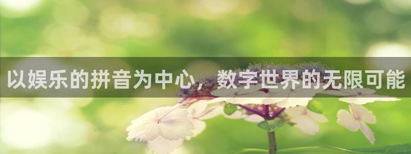壹号电子娱乐app下载安装：以娱乐的拼音为中心，数字世界的无限可能