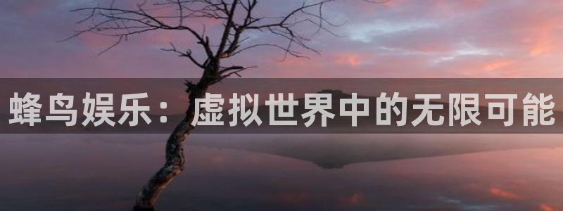 南宫NG软件：蜂鸟娱乐：虚拟世界中的无限可能