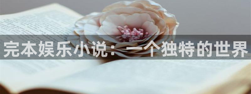 南宫NG注册网站链接