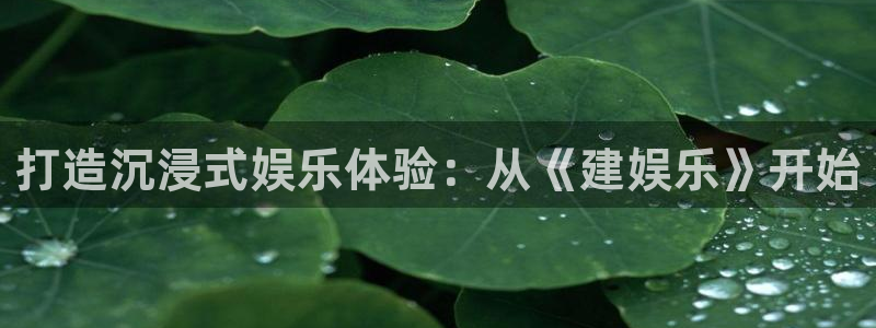 伟德国际集团 壹号(one game)