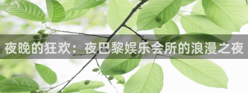南宫NG的平台