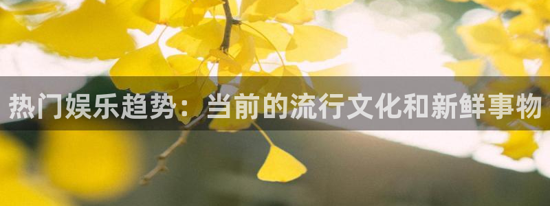 壹号大舞台官网入口