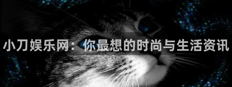 南宫NGapp下载安装最新版