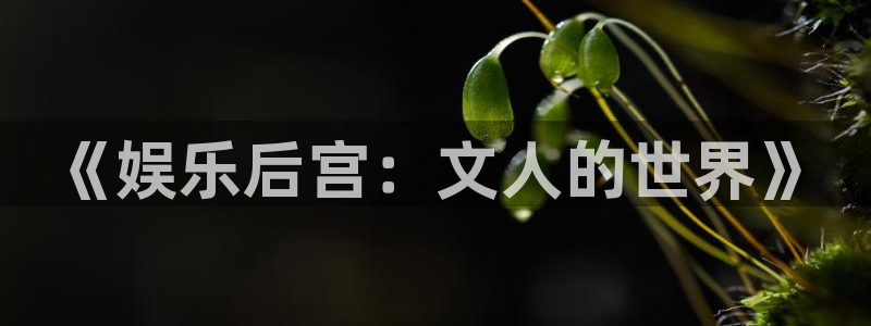壹号app官网：《娱乐后宫：文人的世界》