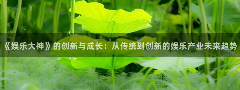 南宫NG平台app下载