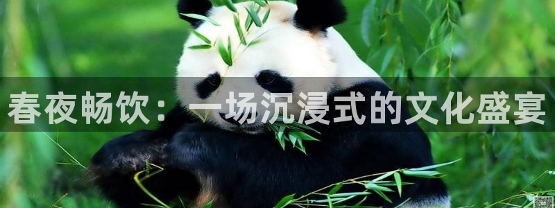 南宫NG网站