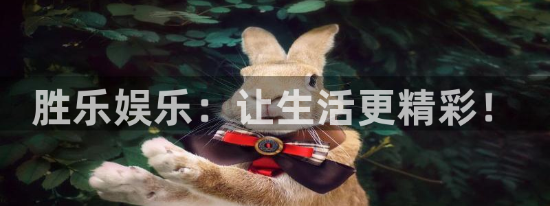 南宫NG平台官网版最新