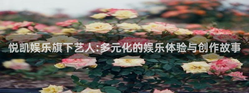 南宫NG电子娱乐官网下载