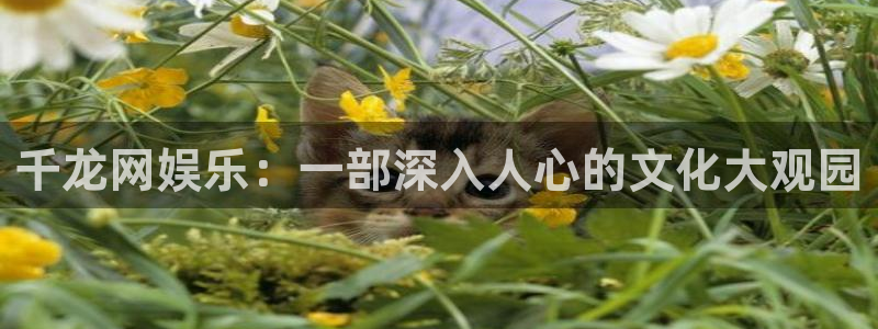 南宫NG,apk.