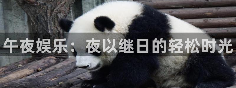 壹号电子娱乐app下载最新版本