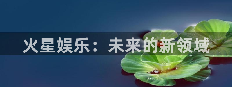 南宫NG平台官网登录入口