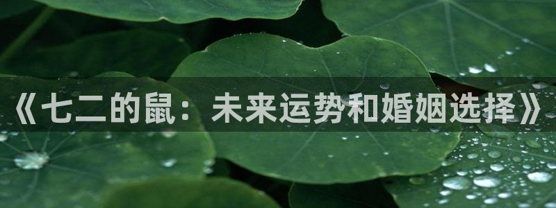 南宫NG预测在线预测