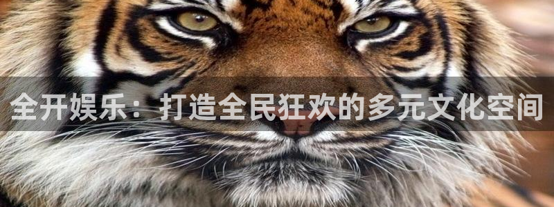 壹号app官方登录入口下载