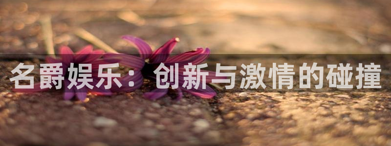 下载南宫NG