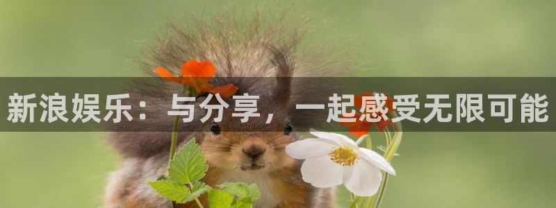 南宫NG.com