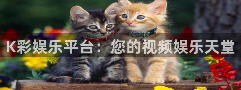 壹号app下载苹果