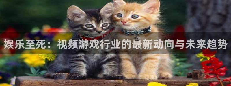 南宫NG注册网页版