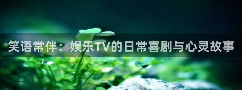 南宫NG平台app下载