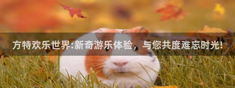 南宫NG网站平台登录：方特欢乐世界:新奇游乐体验，与您共度难忘时光!